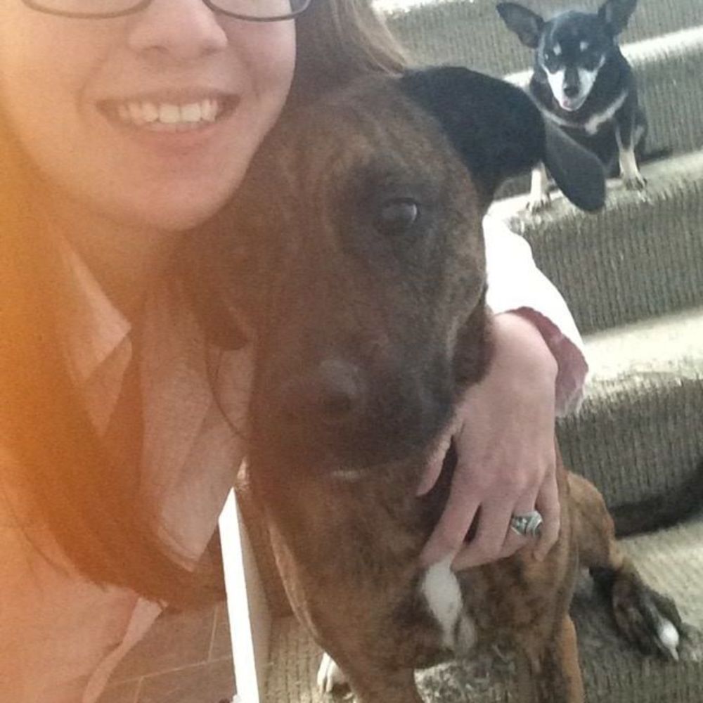 Meet your Posher, Pauline